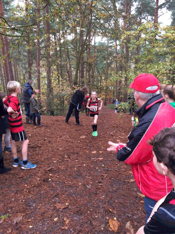 camberley_maisie_collis