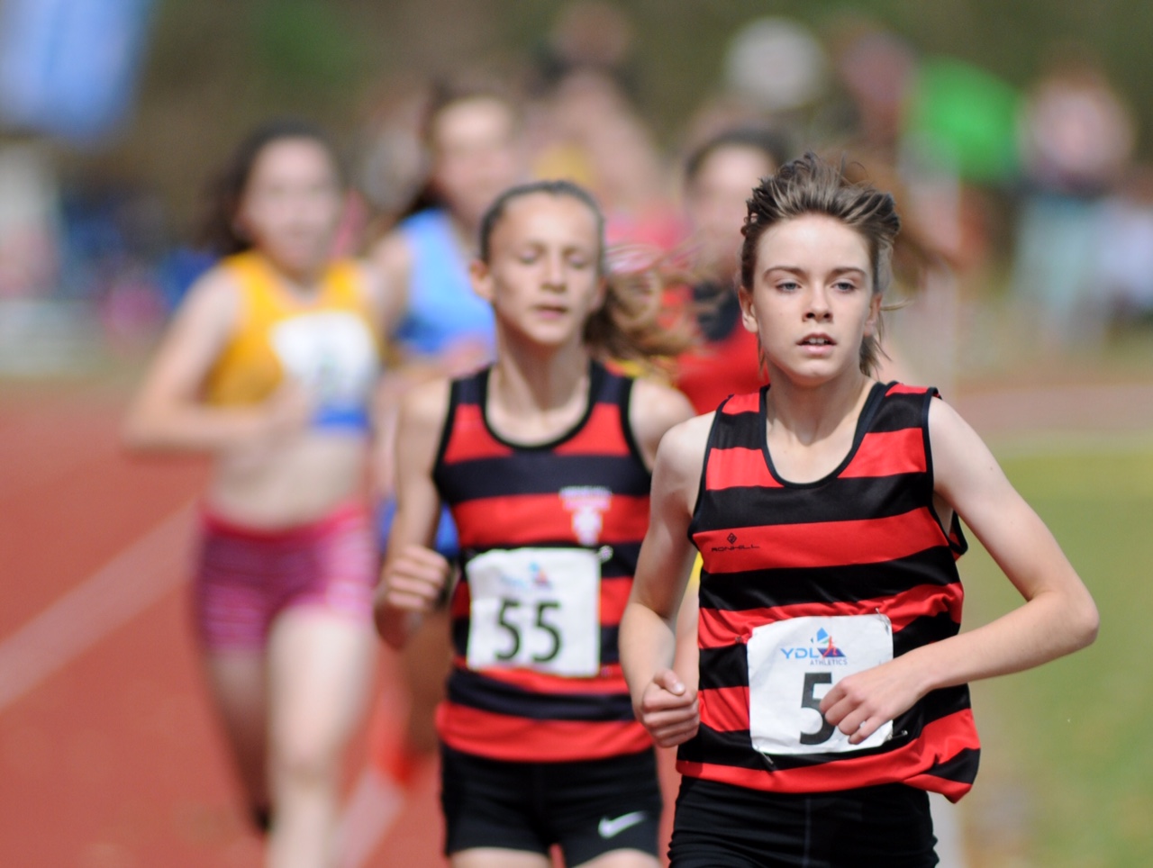 YDL result