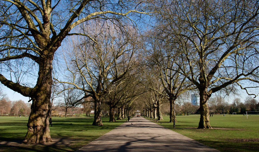 PBs galore at Battersea Park 5km